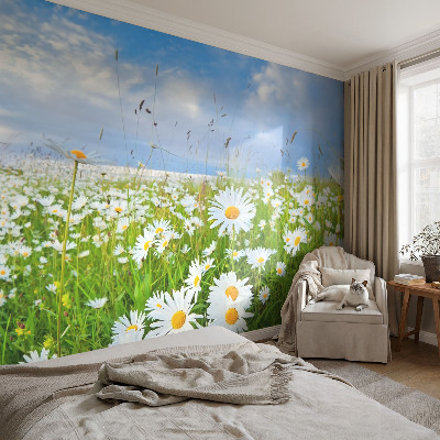 Fotobehang zelfklevend met het motief 'Zomerweide'