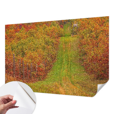 Zelfklevend fotobehang op maat met herfstkleuren