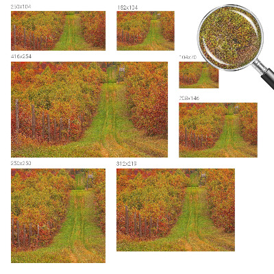 Zelfklevend fotobehang op maat met herfstkleuren