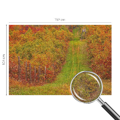Zelfklevend fotobehang op maat met herfstkleuren