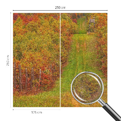 Zelfklevend fotobehang op maat met herfstkleuren