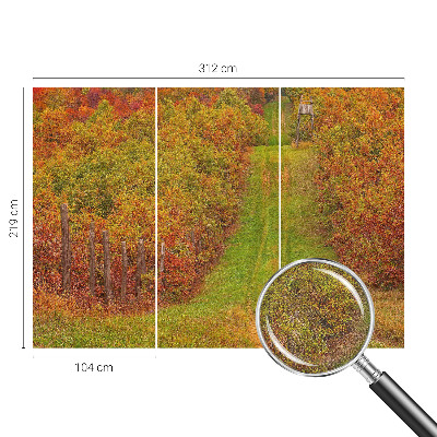 Zelfklevend fotobehang op maat met herfstkleuren