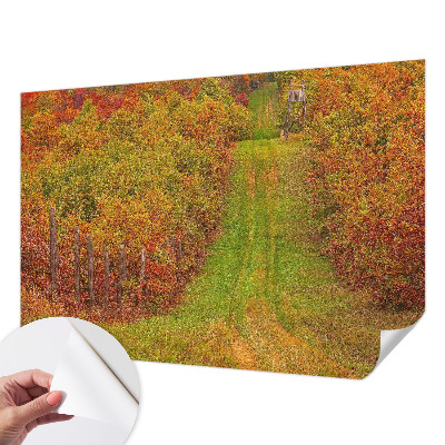 Zelfklevend fotobehang op maat met herfstkleuren