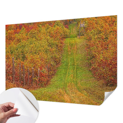 Zelfklevend fotobehang op maat met herfstkleuren