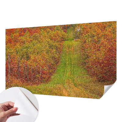 Zelfklevend fotobehang op maat met herfstkleuren