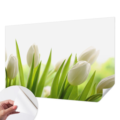 Foto behang voor de kinderkamer met witte tulpen