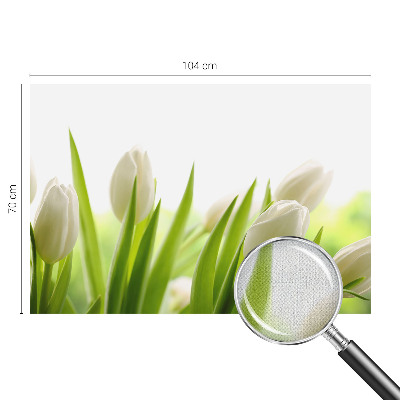 Foto behang voor de kinderkamer Witte tulpen