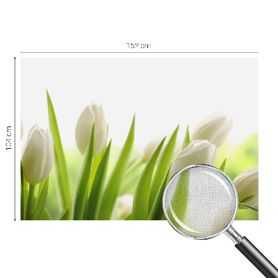 Foto behang voor de kinderkamer met witte tulpen