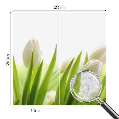 Foto behang voor de kinderkamer Witte tulpen