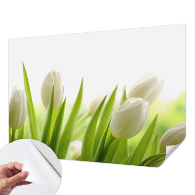 Foto behang voor de kinderkamer met witte tulpen