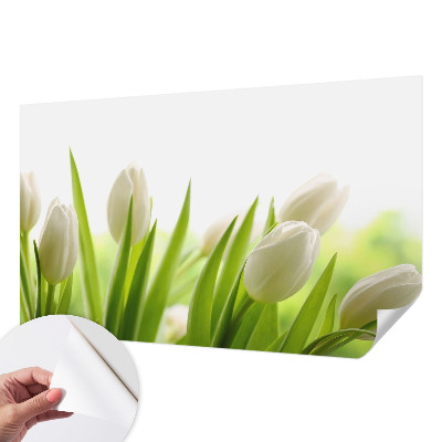 Foto behang voor de kinderkamer met witte tulpen
