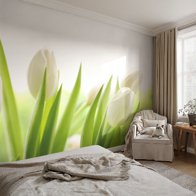 Foto behang voor de kinderkamer met witte tulpen