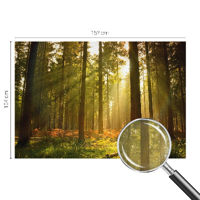 Fotobehang kinderkamer met een scène van een bos in de ochtend