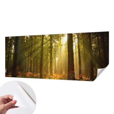 Fotobehang kinderkamer met een scène van een bos in de ochtend