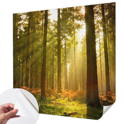 Fotobehang kinderkamer Bosochtend