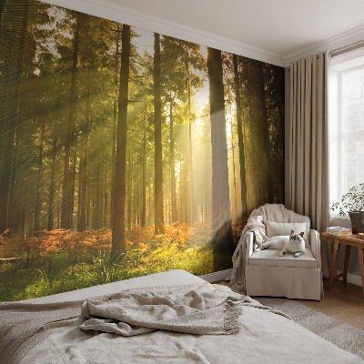 Fotobehang kinderkamer Bosochtend