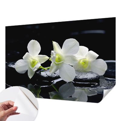 Fotobehang babykamer met bloemen- en stenenmotief