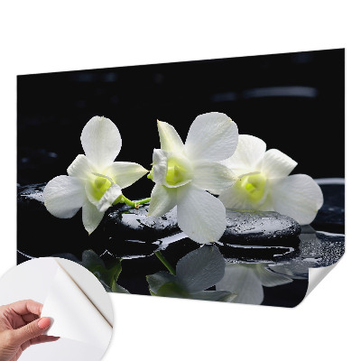 Fotobehang babykamer Bloemen en stenen