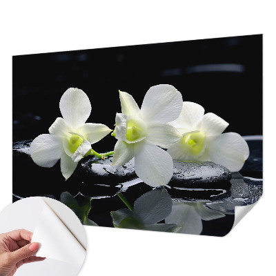 Fotobehang babykamer Bloemen en stenen