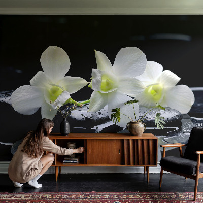 Fotobehang babykamer met bloemen- en stenenmotief
