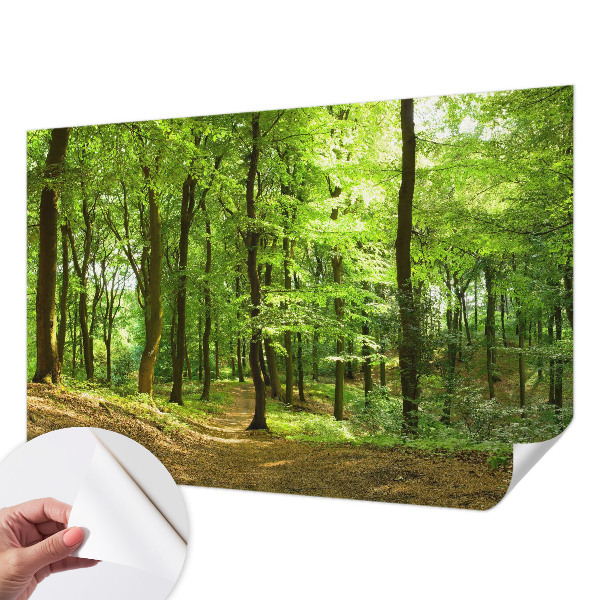 3D fotobehang met een naturel padontwerp