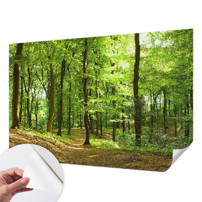 3D fotobehang met een naturel padontwerp