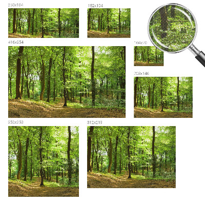 3D fotobehang met een naturel padontwerp