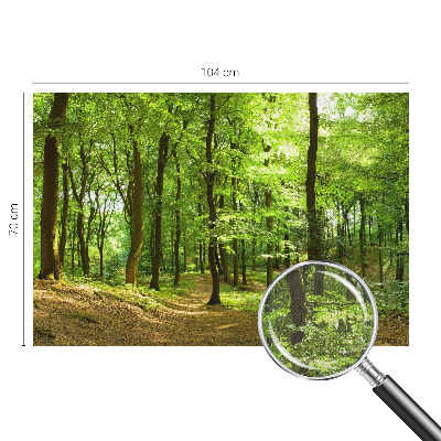 3D fotobehang Natuurlijk pad