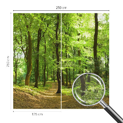 3D fotobehang met een naturel padontwerp