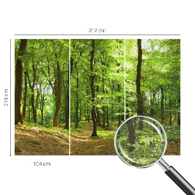 3D fotobehang Natuurlijk pad