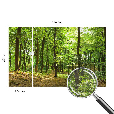 3D fotobehang Natuurlijk pad