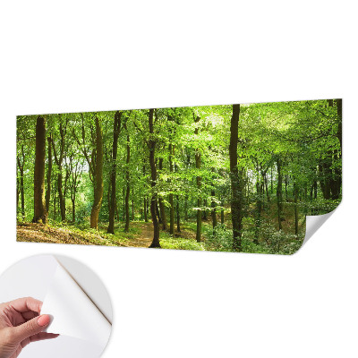 3D fotobehang Natuurlijk pad