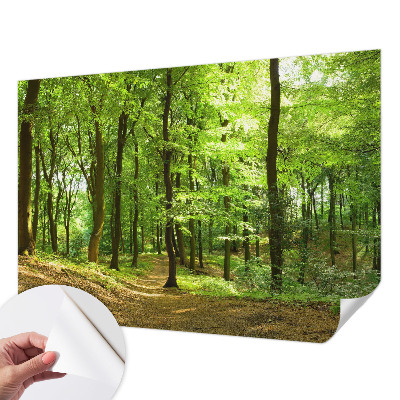3D fotobehang met een naturel padontwerp