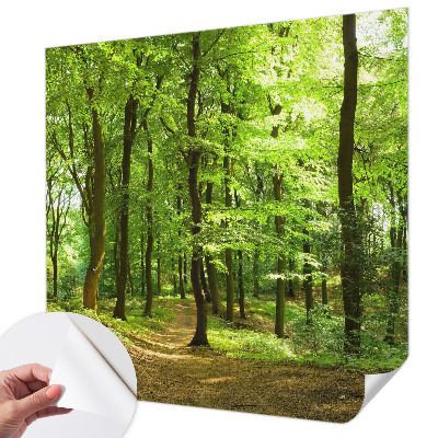 3D fotobehang met een naturel padontwerp
