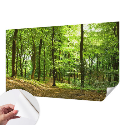 3D fotobehang met een naturel padontwerp