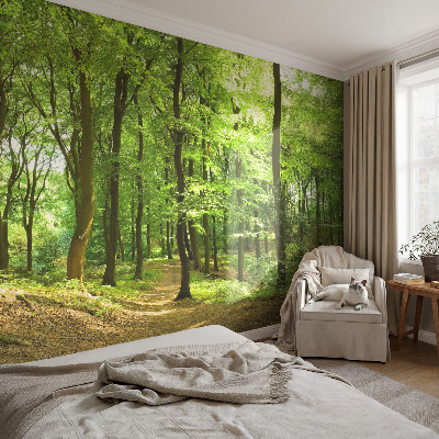 3D fotobehang Natuurlijk pad