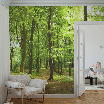 3D fotobehang met een naturel padontwerp