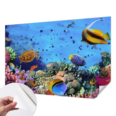 Foto behang voor de kinderkamer met motief van een koraalrif