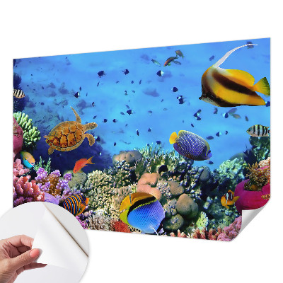 Foto behang voor de kinderkamer met motief van een koraalrif