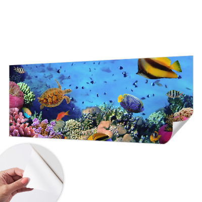 Foto behang voor de kinderkamer met motief van een koraalrif