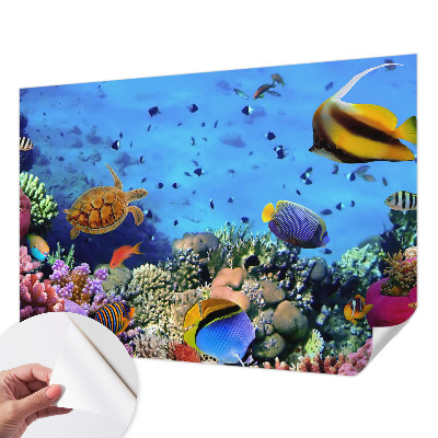 Foto behang voor de kinderkamer met motief van een koraalrif