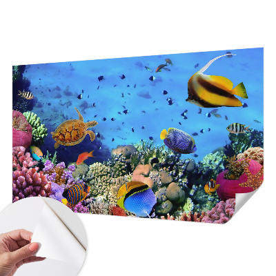 Foto behang voor de kinderkamer met motief van een koraalrif
