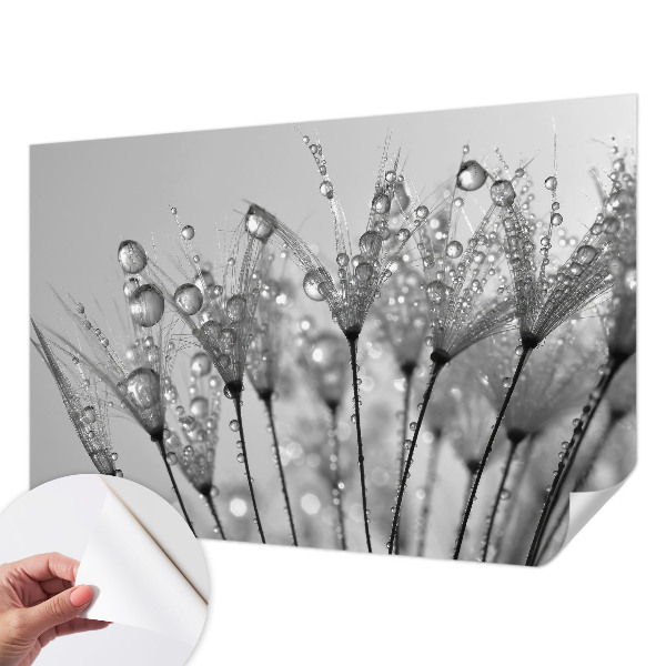 Fotobehang zelfklevend Natte delicatesse