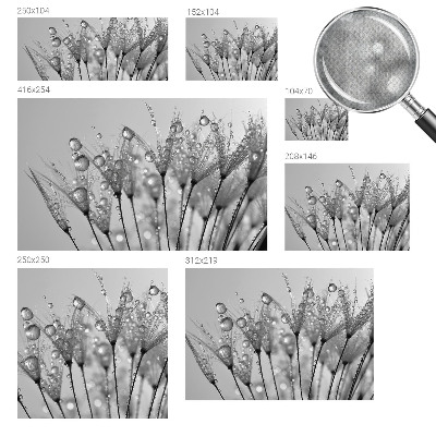 Fotobehang zelfklevend Natte delicatesse