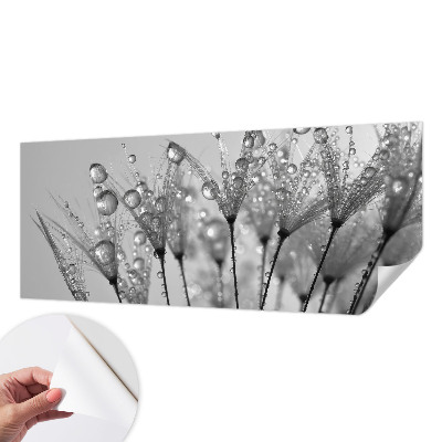 Fotobehang zelfklevend met het motief 'natte delicatesse' voor een vochtbestendige, duurzame afwerking