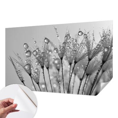 Fotobehang zelfklevend Natte delicatesse