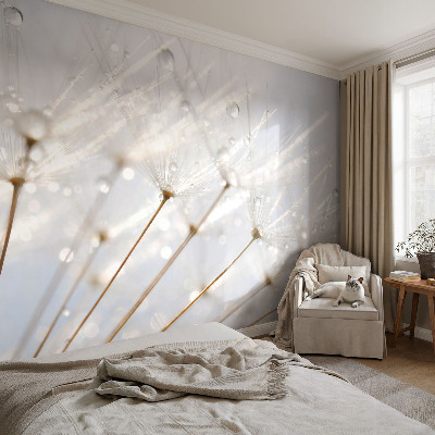 Fotobehang voor de kinderkamer Roze paardenbloem