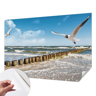 Fotobehang tienerkamer Kustlandschap