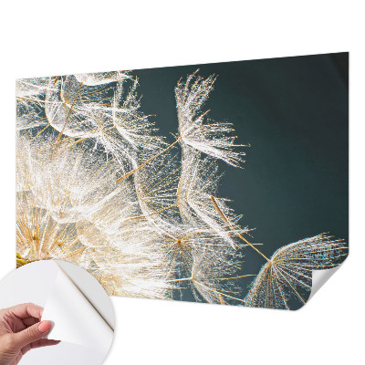Fotobehang zelfklevend met een paardenbloemmotief in lichte tinten