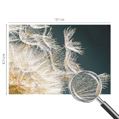 Fotobehang zelfklevend Paardenbloem van lichtheid